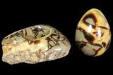 Polished Septarian Egg with Stand - Madagascar #118135-1